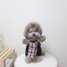 강아지 패션 목도리 (2Colors)